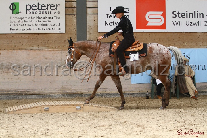 28-ApHC OT_177.jpg